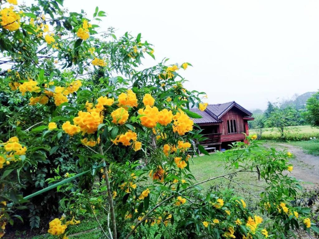 Nai Khun Khao Resort Čiang Mai Exteriér fotografie