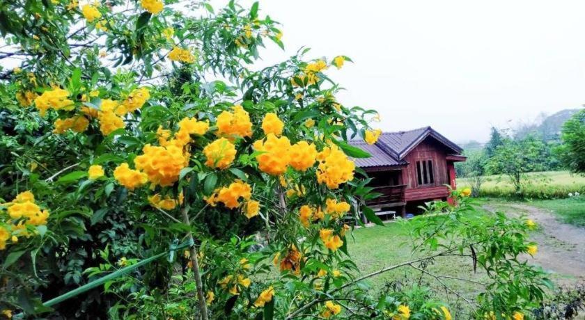 Nai Khun Khao Resort Čiang Mai Exteriér fotografie